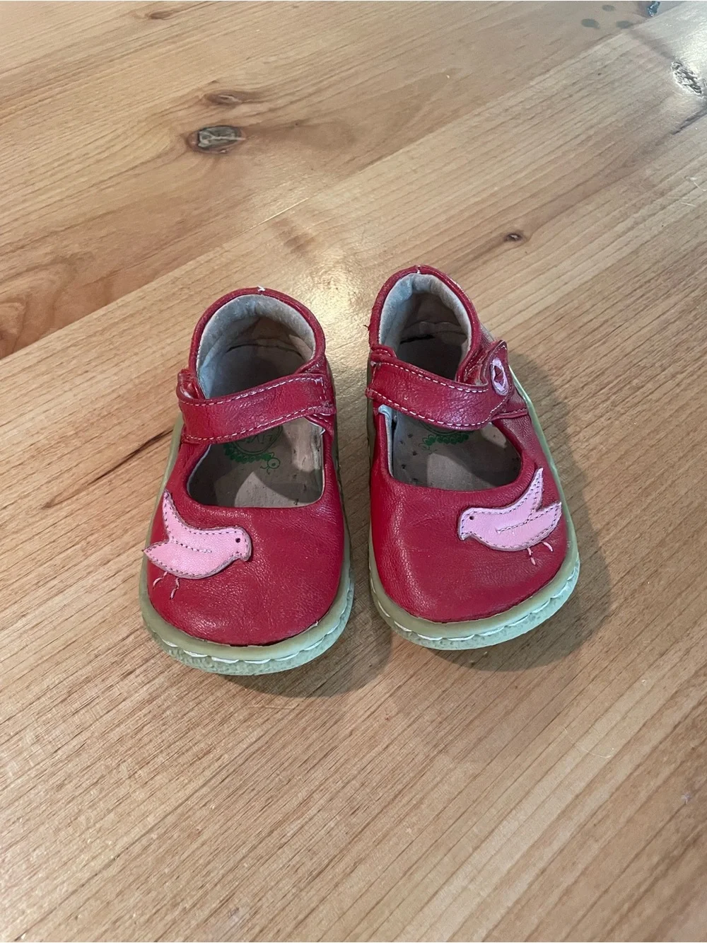Livie & Luca Red Mary Jane Shoes with Pink Bird Appliqué